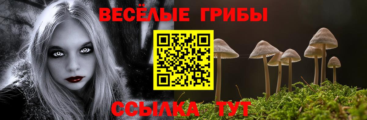 купить наркоту  Вход с VPN  Реутов  Псилоцибиновые грибы GOLDEN TEACHER 